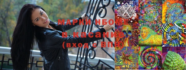 ГАЛЛЮЦИНОГЕННЫЕ ГРИБЫ Арсеньев