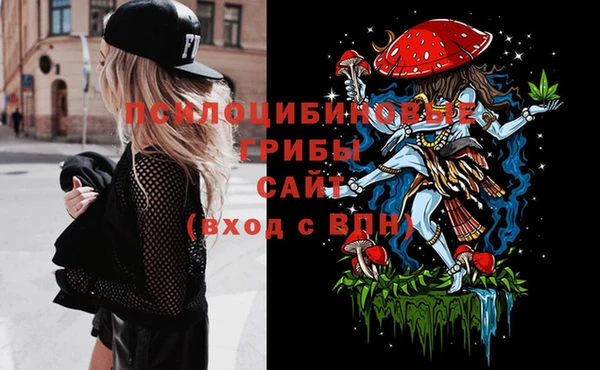 ГАЛЛЮЦИНОГЕННЫЕ ГРИБЫ Арсеньев