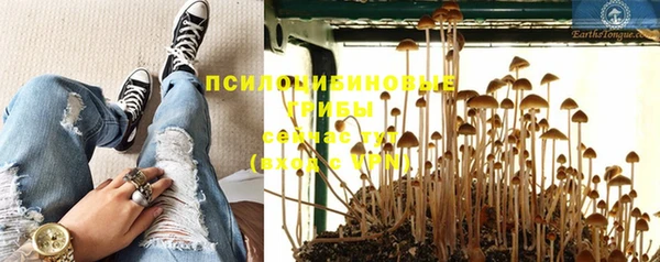 прущий лед Армянск