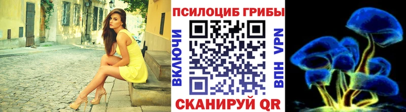 Псилоцибиновые грибы мицелий  цена   Можга 